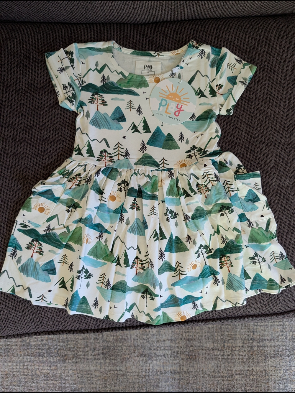 Little Sleepies Mountain Mist Pocket Dress 2T